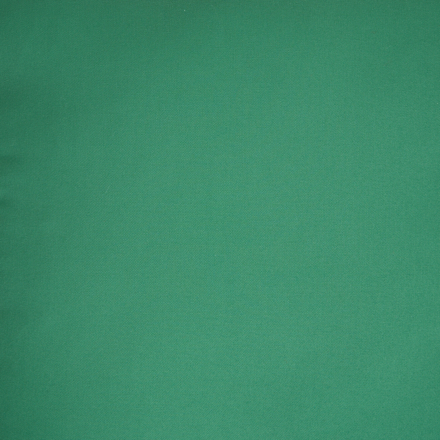 Outdoor Plain Cushion Green Image 4