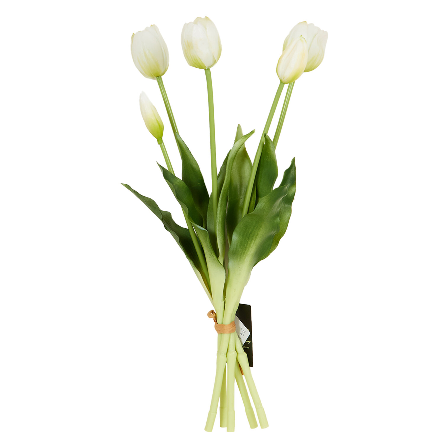 Tulip Bunch Image 11