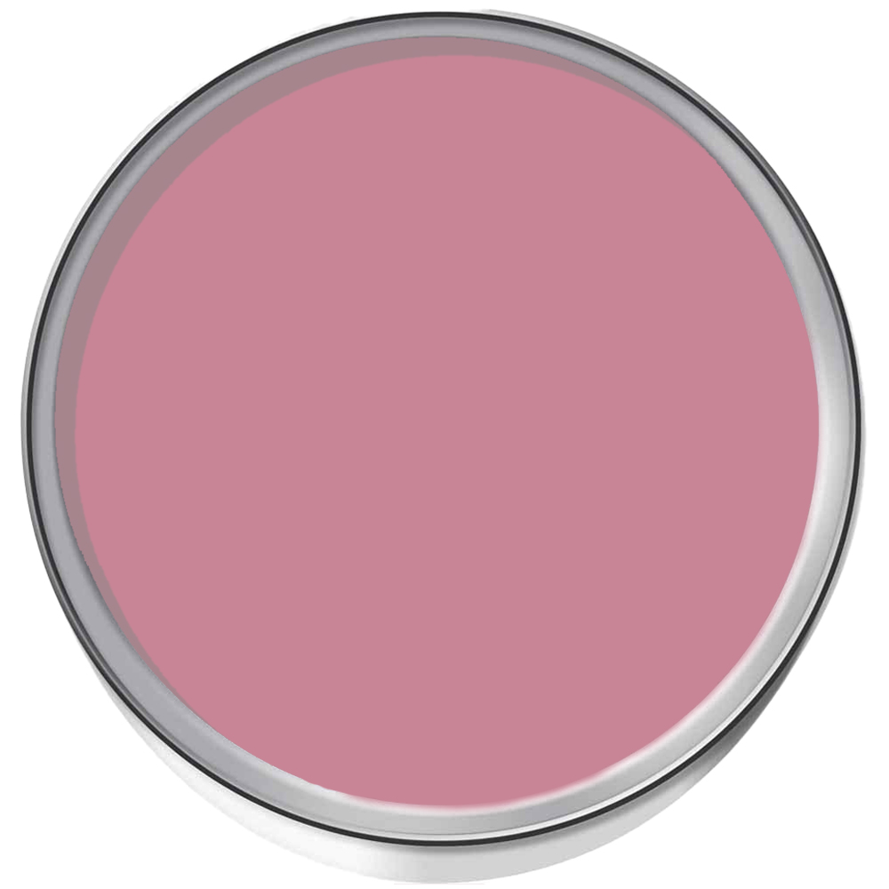 StoneCare4U Essential Walls & Ceilings Smooth Pink Matt Anti Mould Paint 5L Image 3