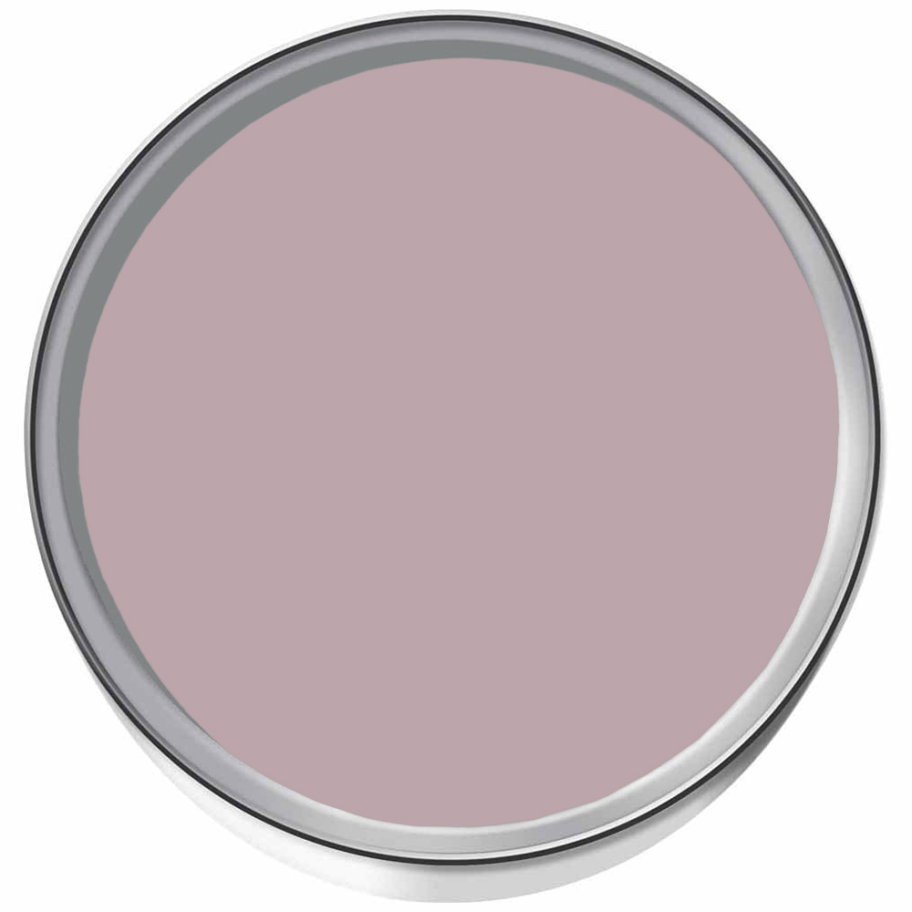 Superfresco Easy Dream Big Matt Emulsion Paint 2.5L Image 3