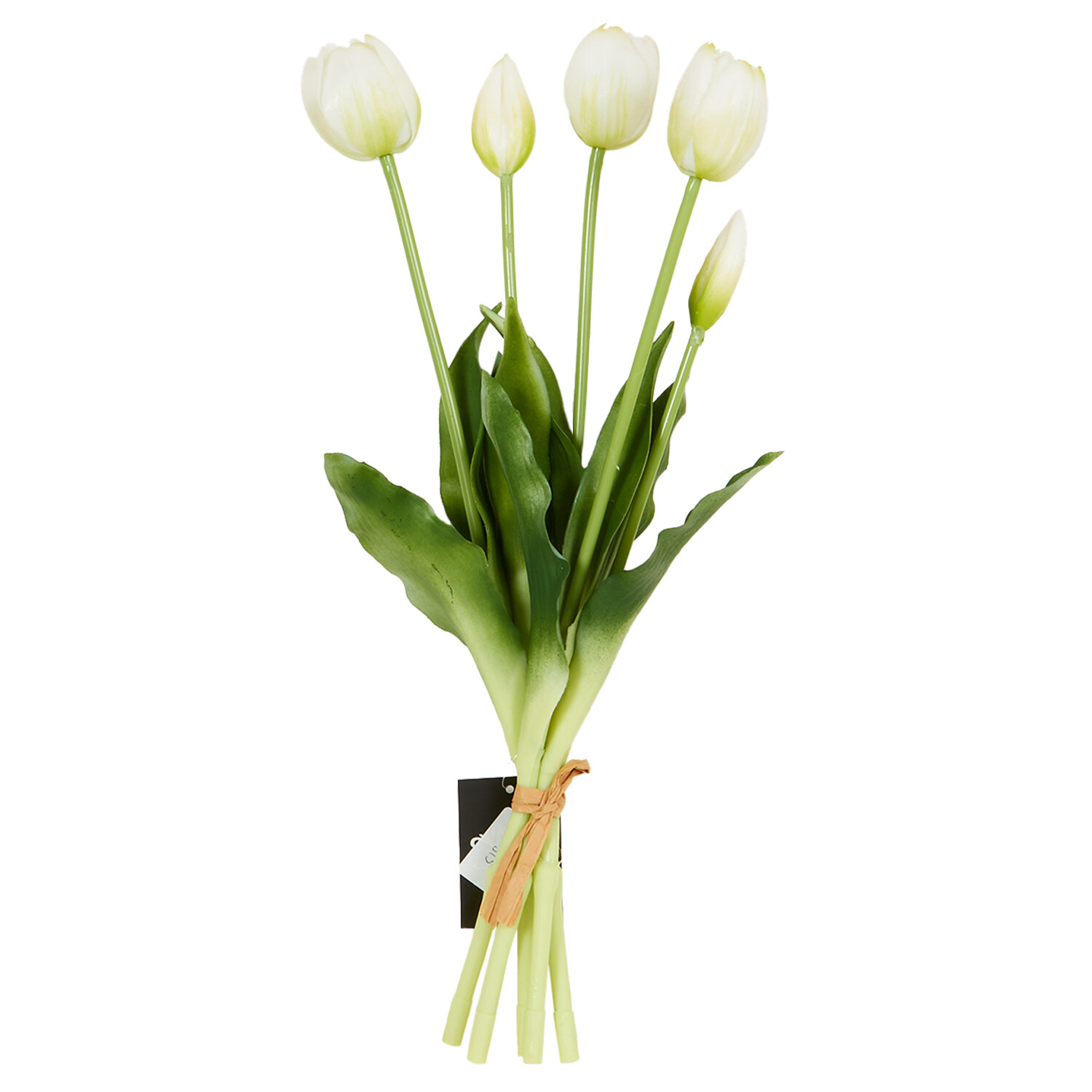 Tulip Bunch Image 10