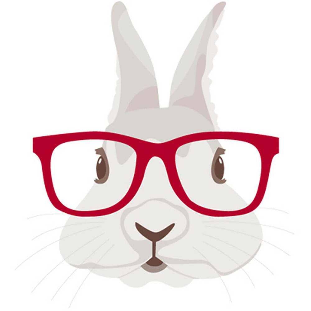 Walplus Framed Rabbit Canvas Art Print Image 2