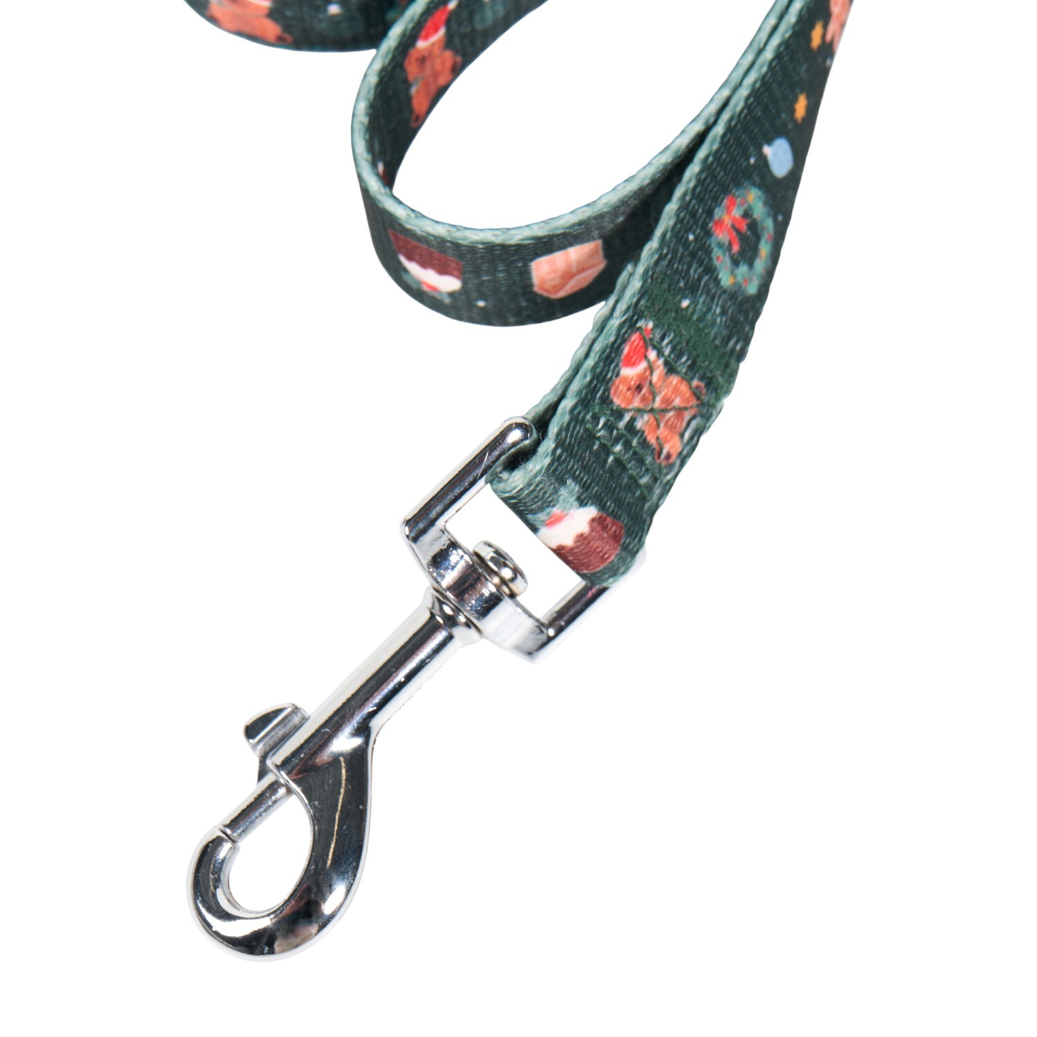 Festive Dog Lead and Collar Set Teal M Image 5