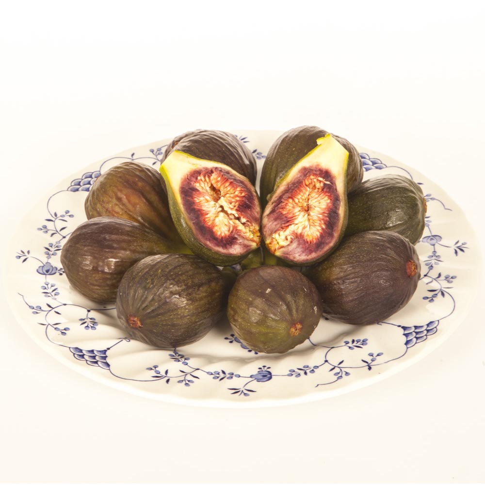 YouGarden Standard Fig Tree 3L Pot Image 2