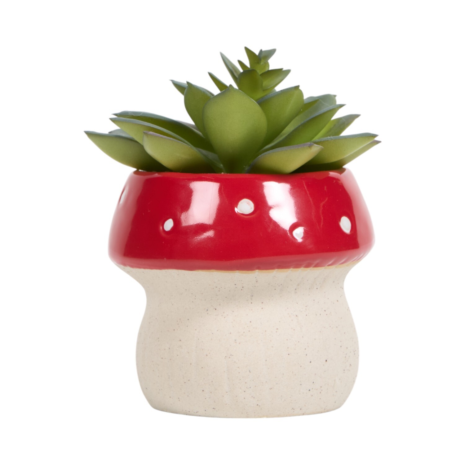 Succulent in Mushroom Pot Red Image 2