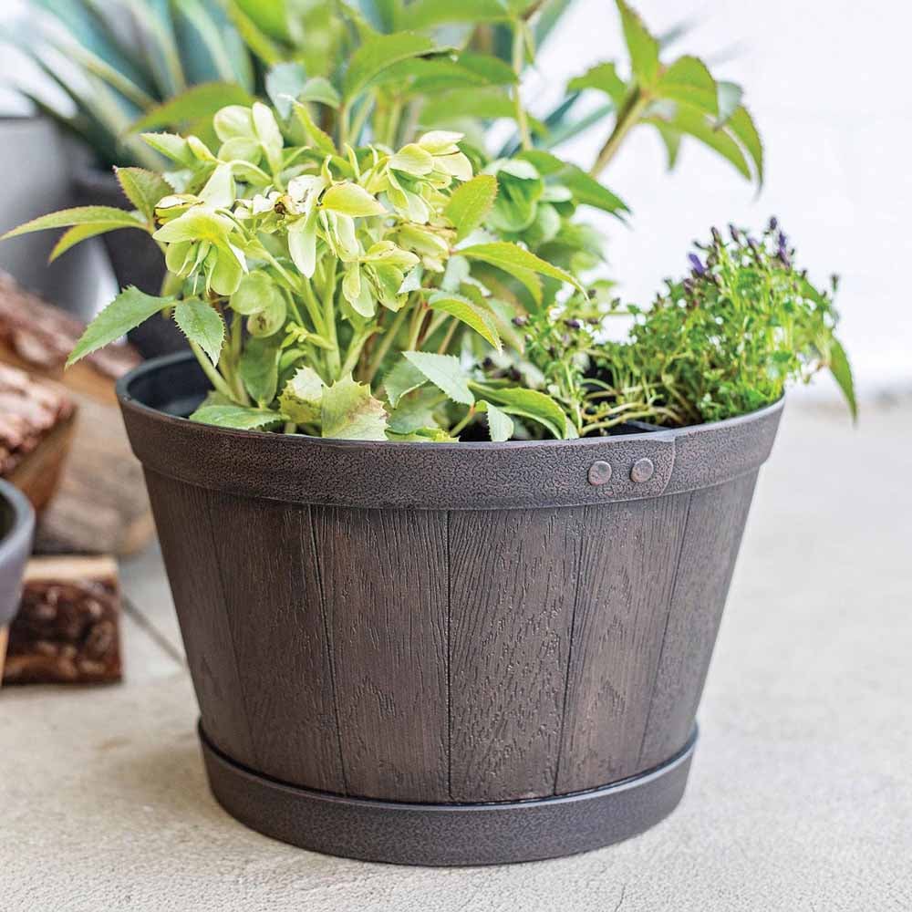 Plant Avenue Oban Dark Oak Whiskey Barrel Planter 33cm Image 4