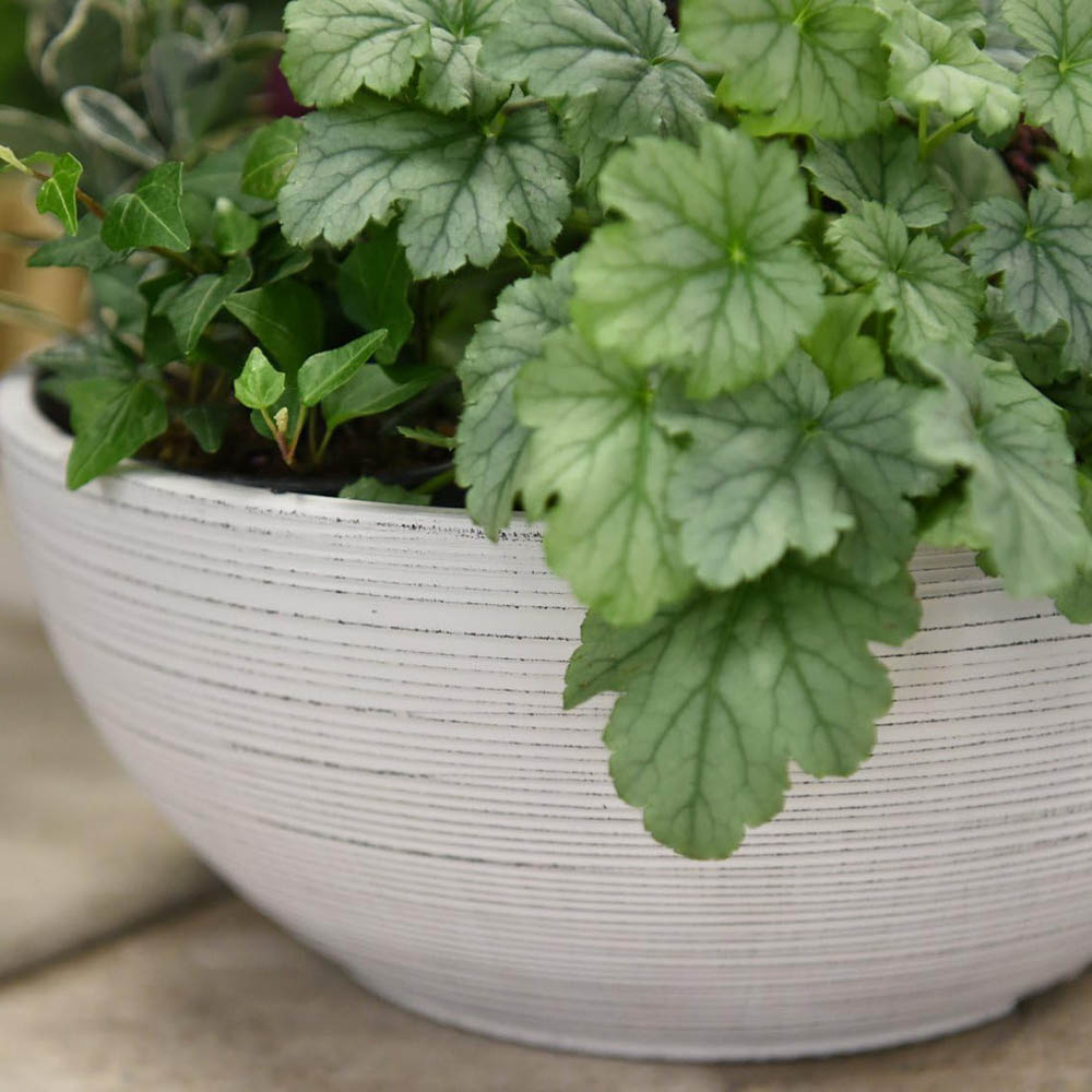 Garden Gear Light Grey Bayadere Bowl Planter 35cm 3 Pack Image 3