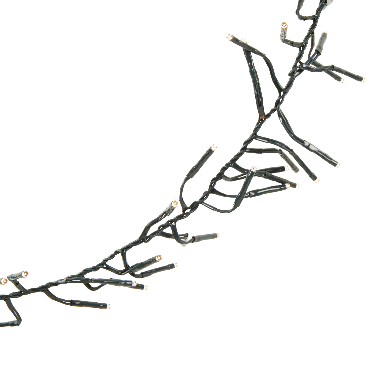 2000 Cluster LED Light Chain Warm White Image 6