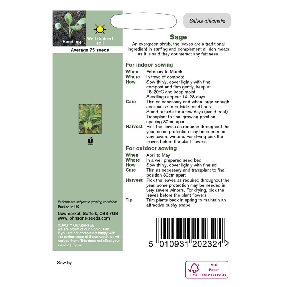Johnsons Sage Herb Seeds Image 3