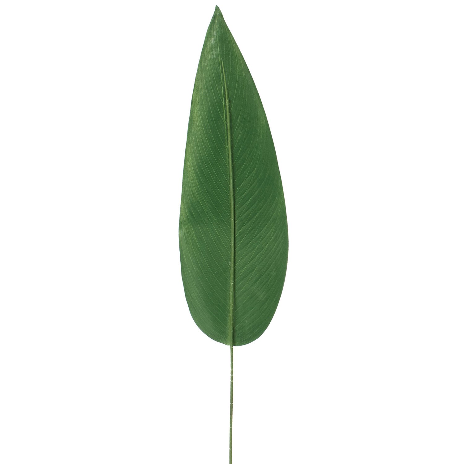 Large Paradise Fern Stem - Green Image 3