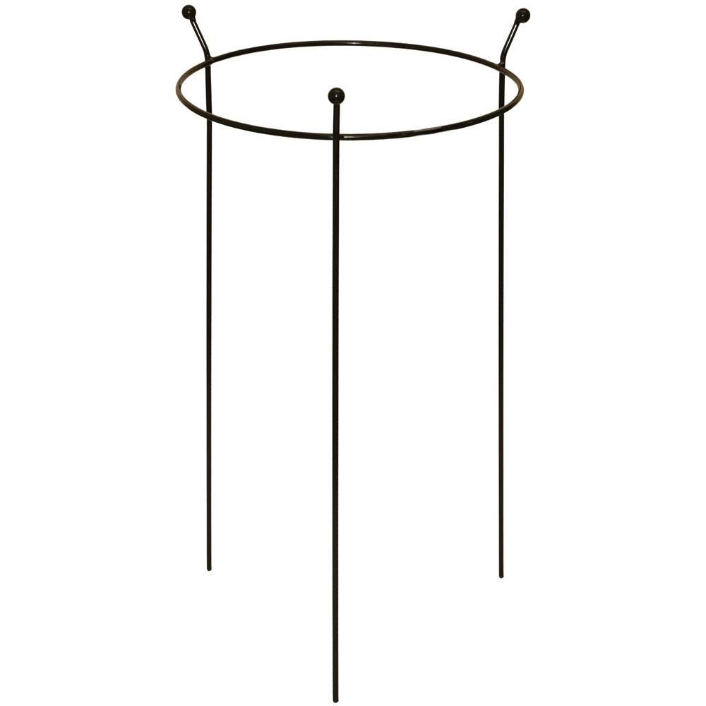 Samuel Alexander Steel Black Herbaceous Garden Plant Support Ring 60 x 35cm 4 Pack Image 4