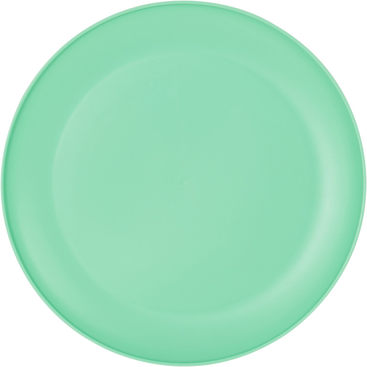 Pack of 4 Plastic Dinner Plates Image 3