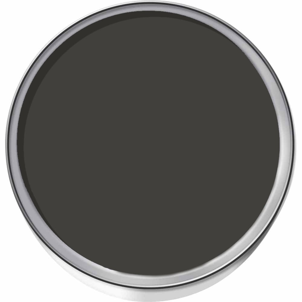 Zinsser Allcoat Black Water Based Exterior Gloss Paint 1L Image 3