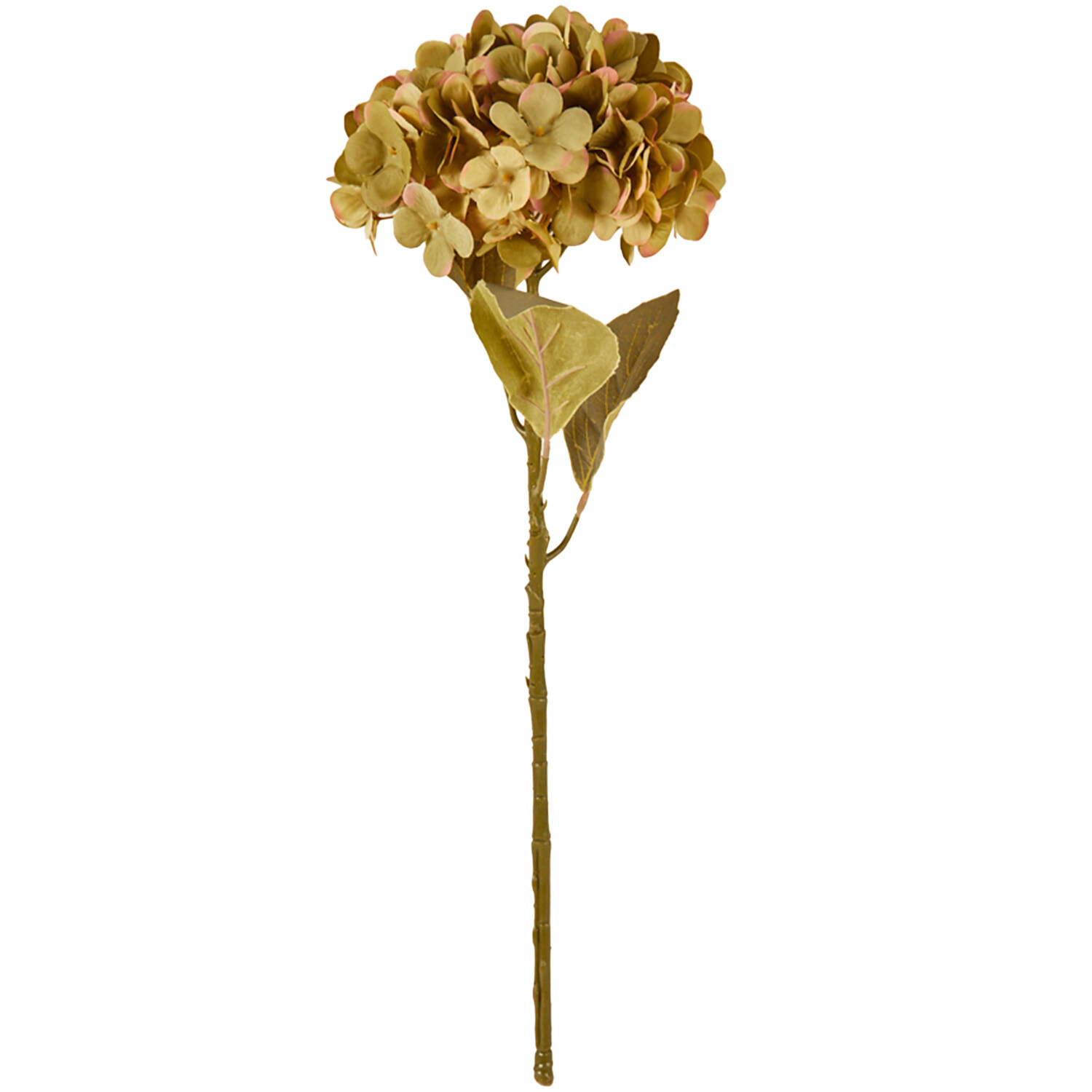 Assorted Hydrangea Stem - Purple or Green Image 3