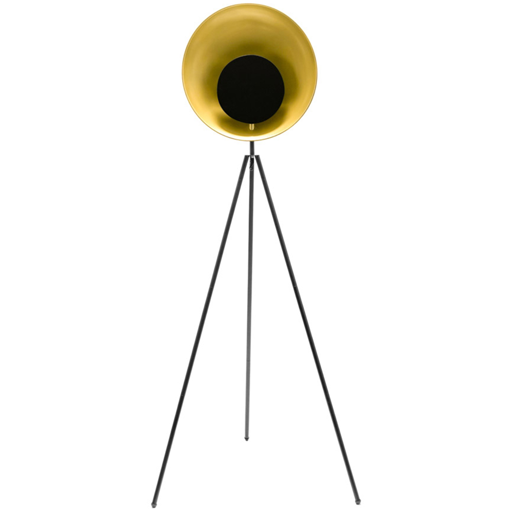 ValueLights Saffy Matte Black and Gold Shade LED Floor Lamp Image 1