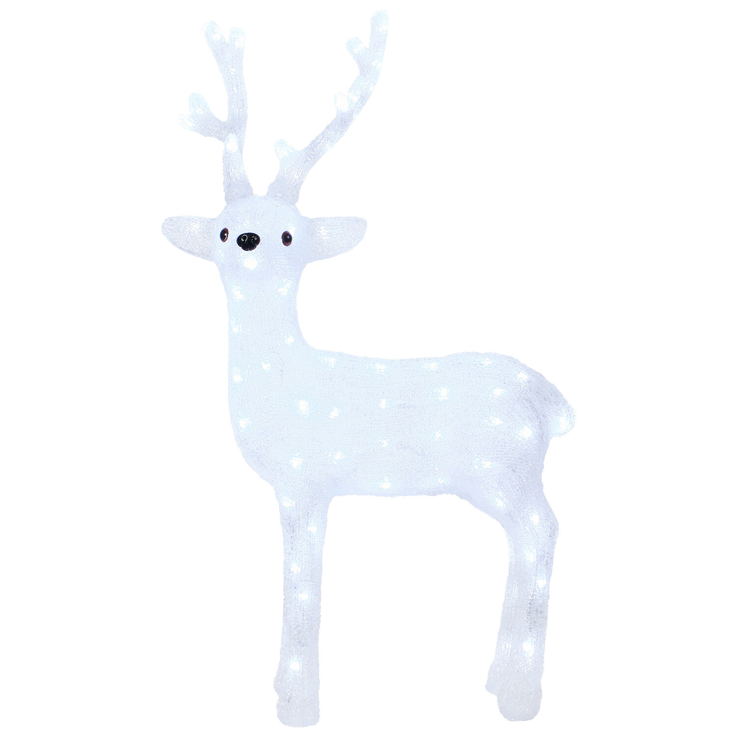 Acrylic Stag Image 3