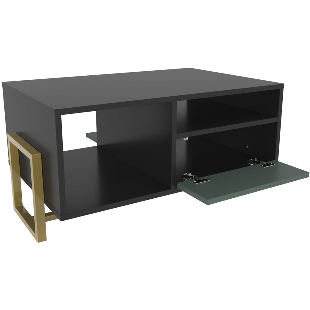 Decorotika Utopie 2 Door 2 Shelf Black and Green Modern Coffee Table Image 3