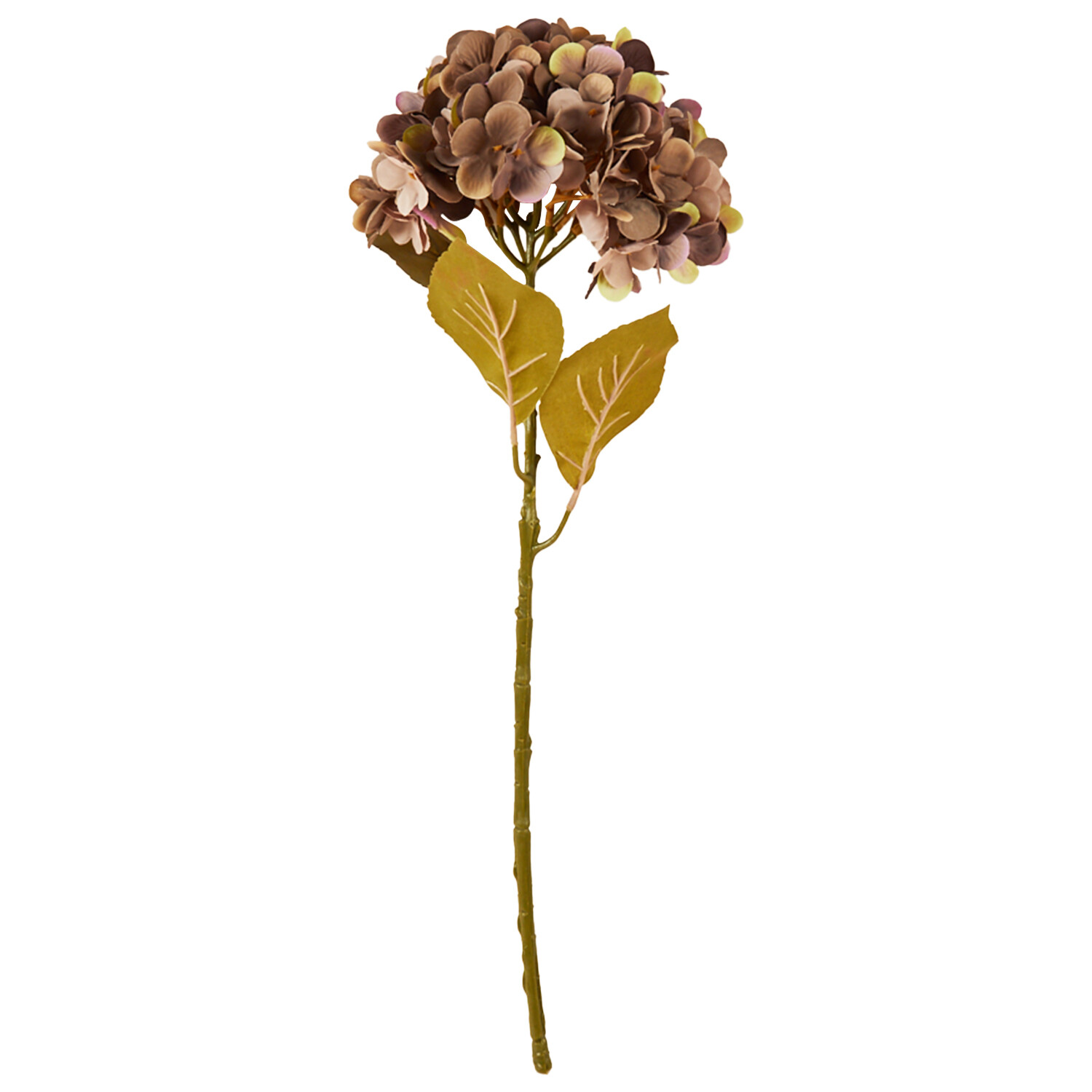 Assorted Hydrangea Stem - Purple or Green Image 1