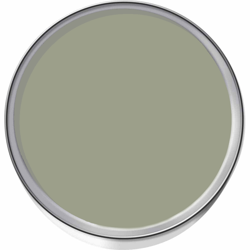 Farrow & Ball Modern Eggshell Lichen Satin Paint 5L Image 3