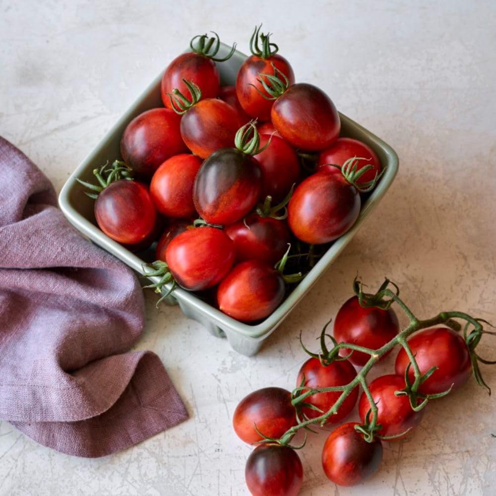 Thompson and Morgan Tomato Black Moon Plant in Pot 9cm Image 3