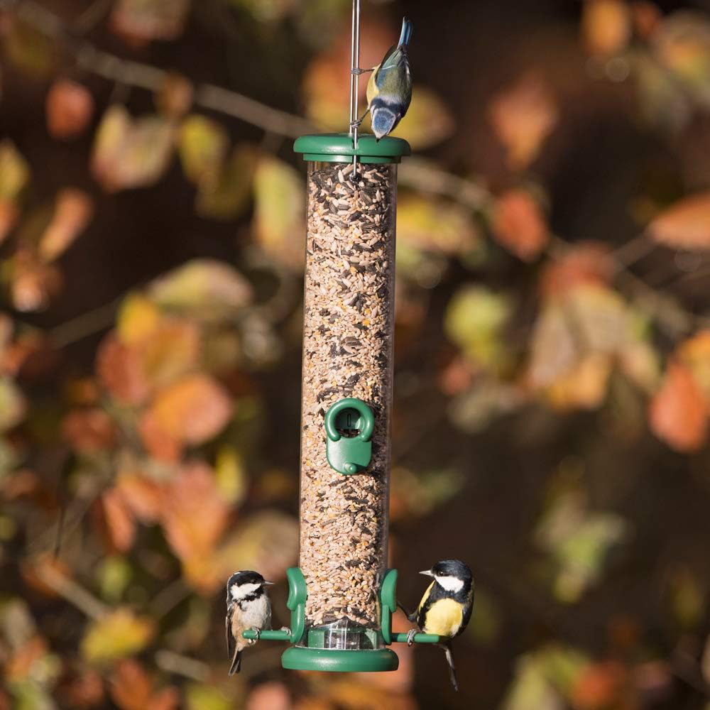 Happy Beaks Jacobi Jayne 4 Port Ring Pull Medium Seed Feeder Image 6