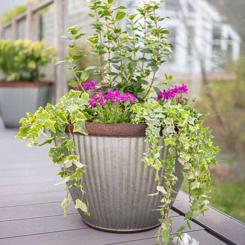 Plant Avenue Irondale Silver Bowl Plant Pot 38cm Image 2