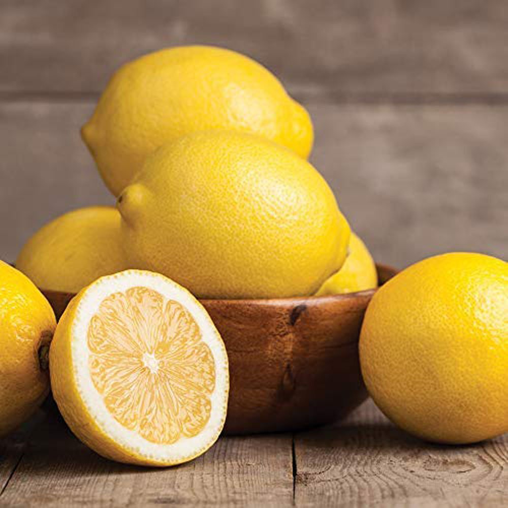 Thompson and Morgan Citrus Fruit Plant Pot 9cm 2 Pack Image 2