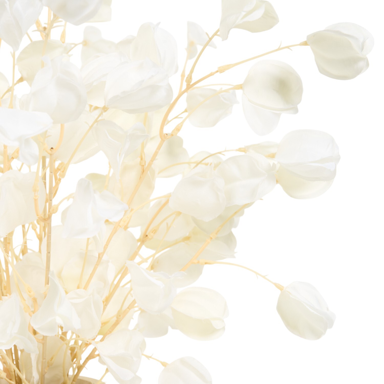 Alara Floral Arrangement White Image 5