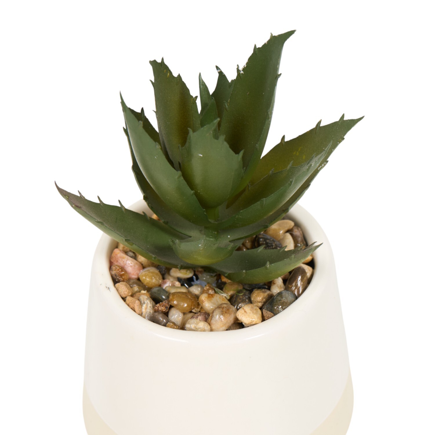 Mini Succulent Pot Image 7
