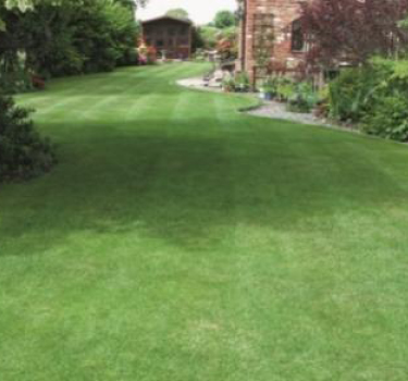 Garden Turf