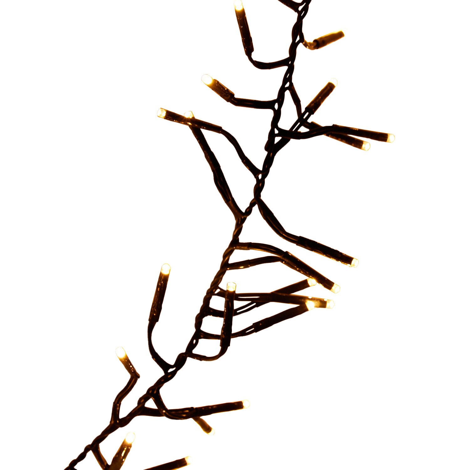 2000 Cluster LED Light Chain Warm White Image 5