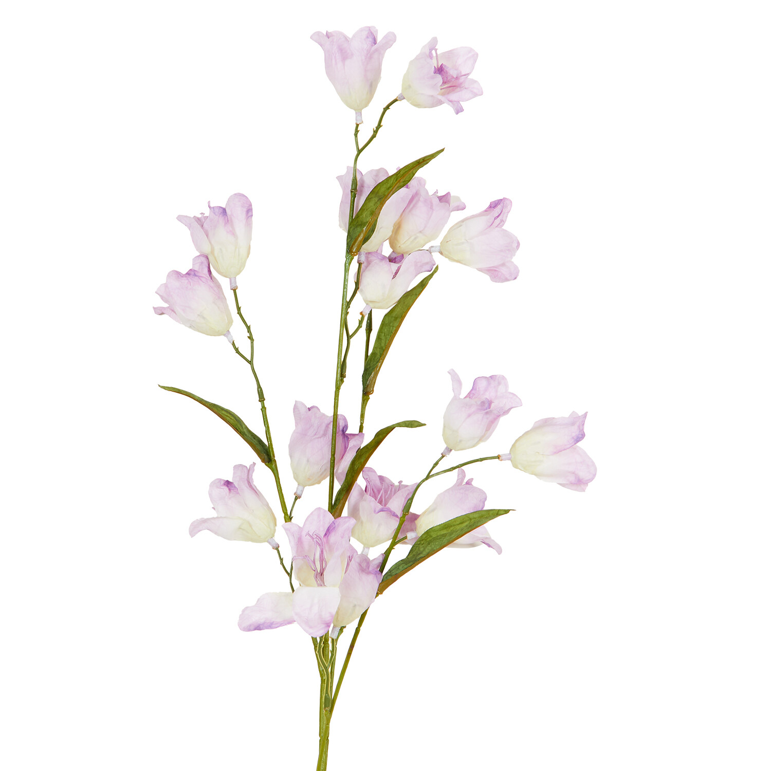 Sweet Pea 78cm  - Multicolour Image 6