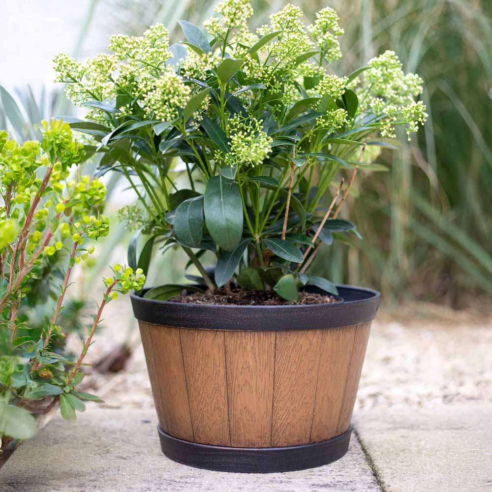 Plant Avenue Oban Light Oak Whiskey Barrel Planter 39cm Image 5