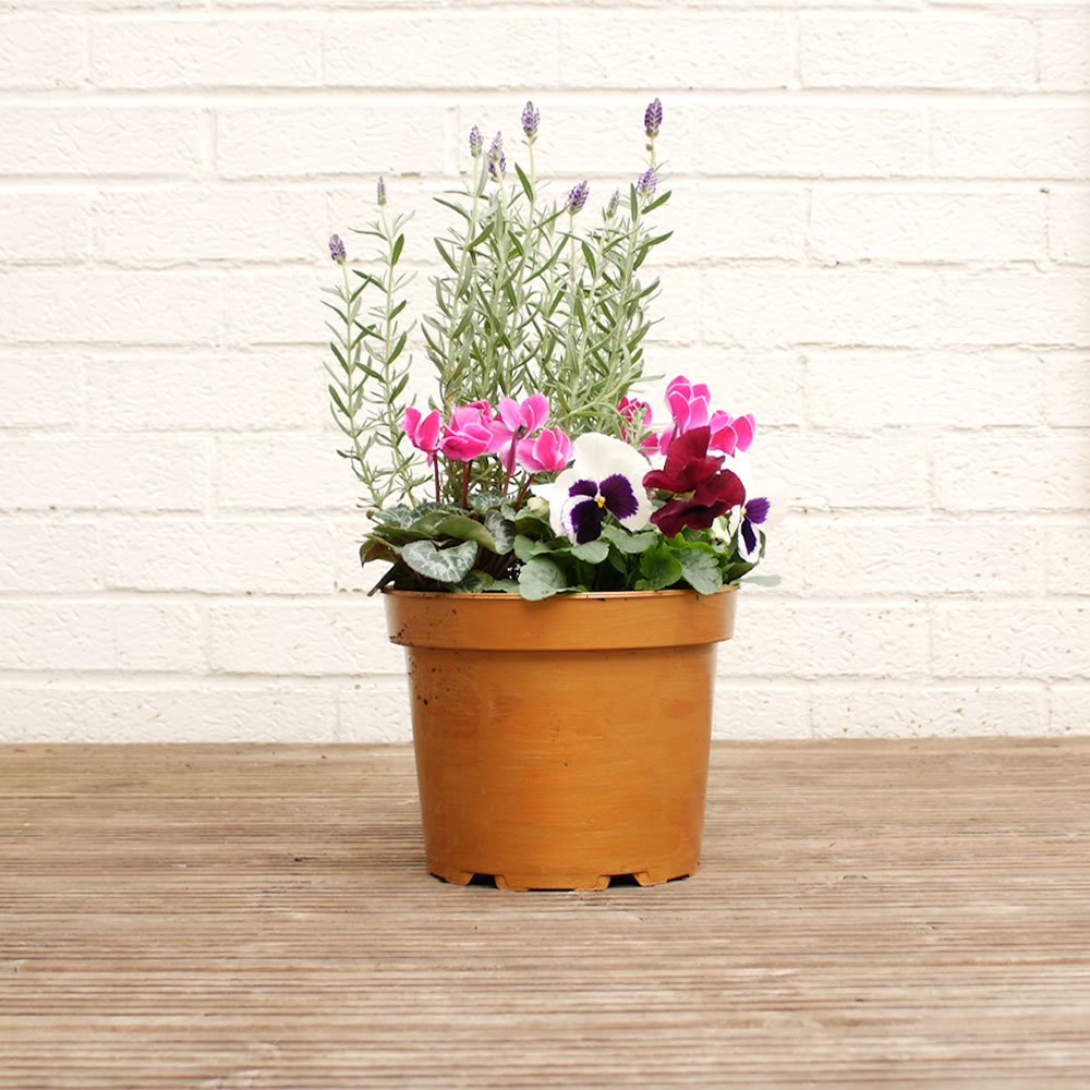 Wilko Wood & Metal Bronze Metallic Paint 250ml Image 4