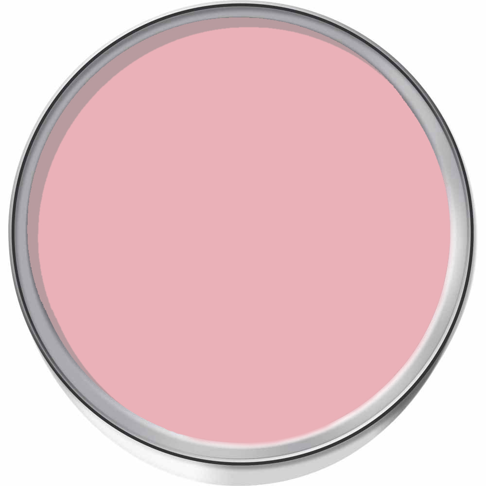 Hemway Sunset Pink Exterior Matt Acrylic Emulsion Paint 2.5L Image 3