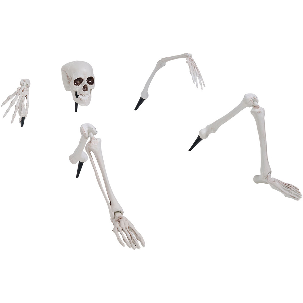 Life-Size Ground Breaking Skeleton White Image 3