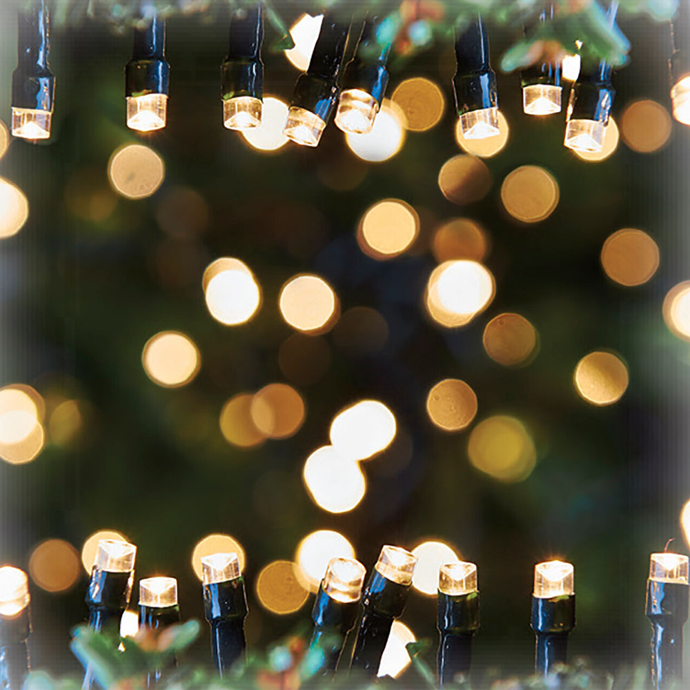 noel Warm White Battery Operated Outdoor LED Lights 96 Pack Image