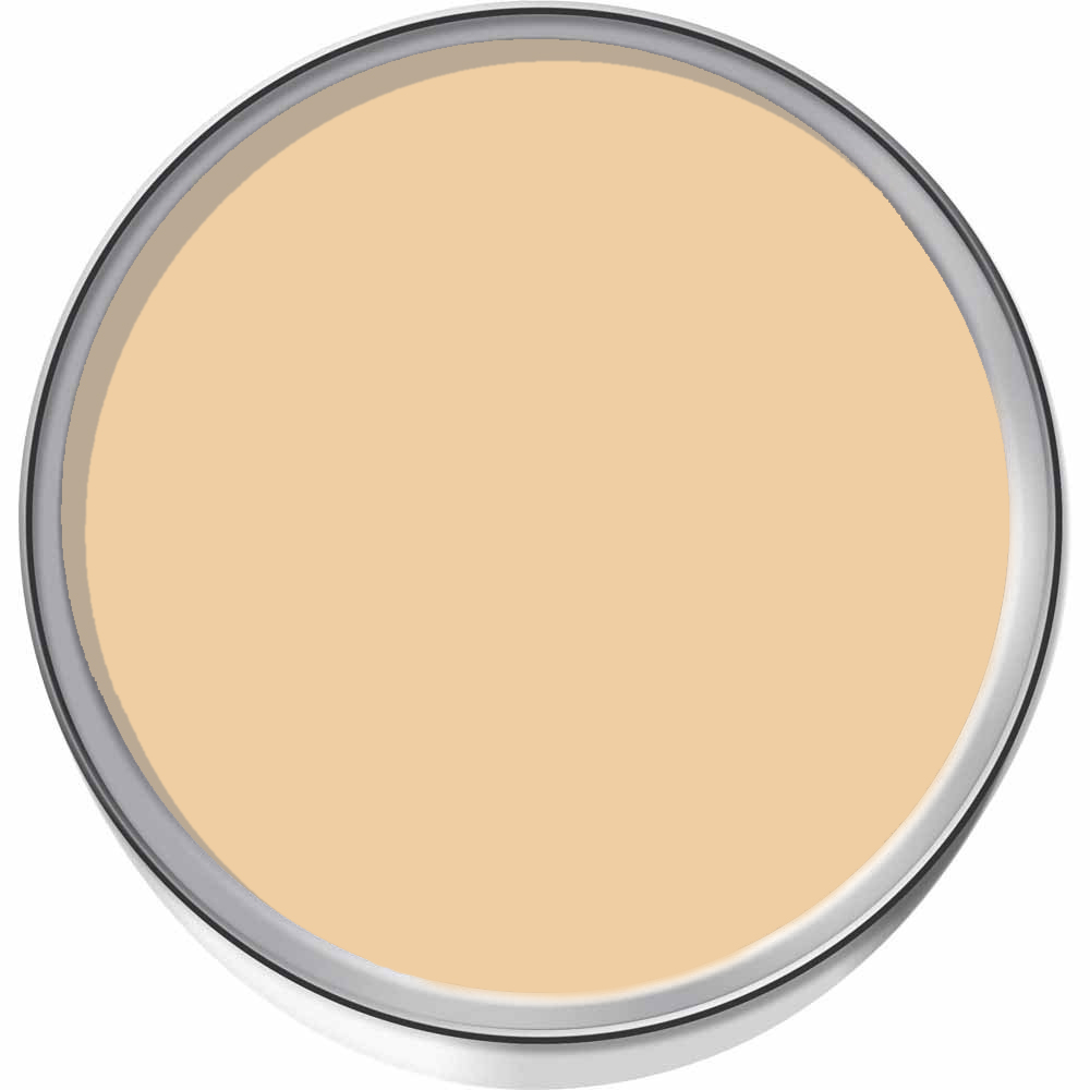 Craig & Rose 1829 Vintage Walls Wood and Metal Beauvais Cream Eggshell Paint 2.5L Image 3
