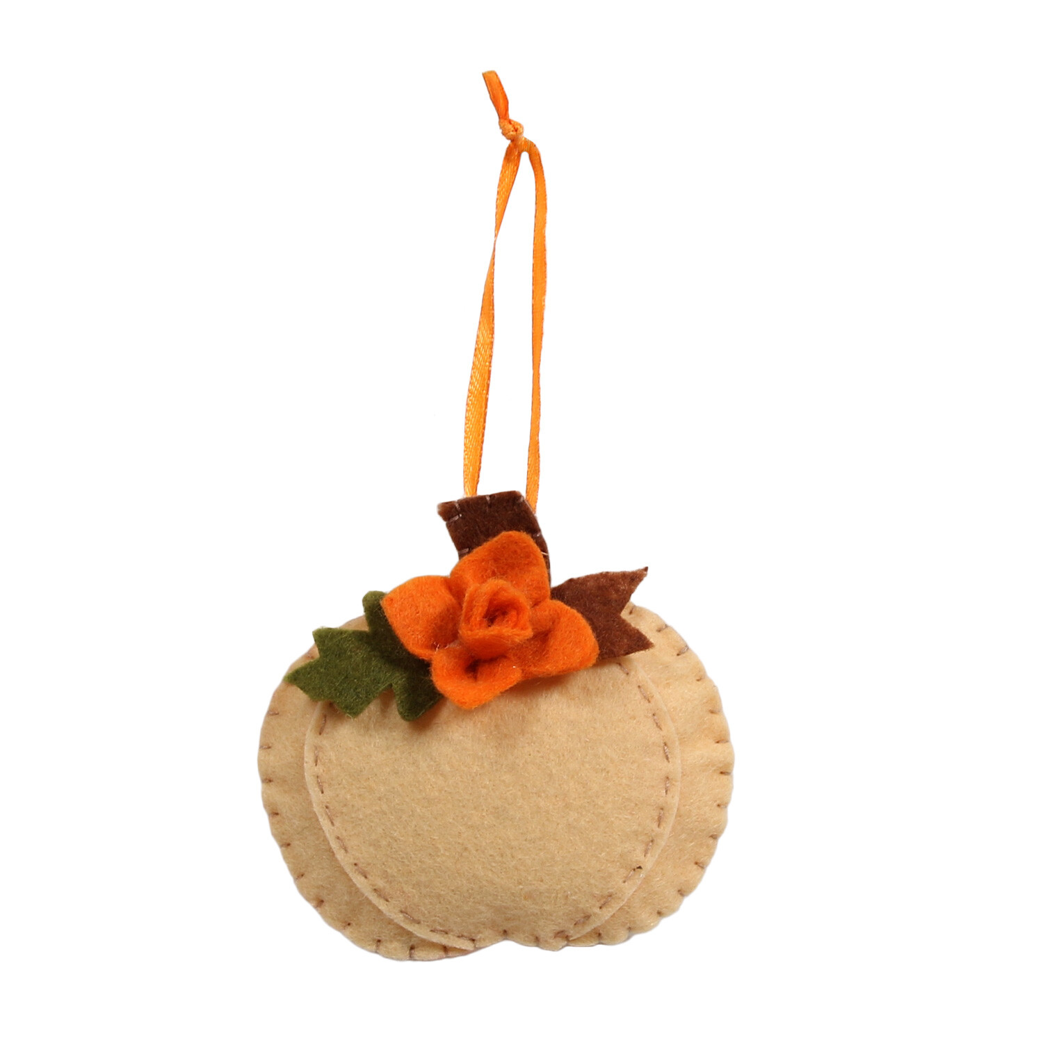 The Fall Collection Make Your Own Pumpkins Image 2