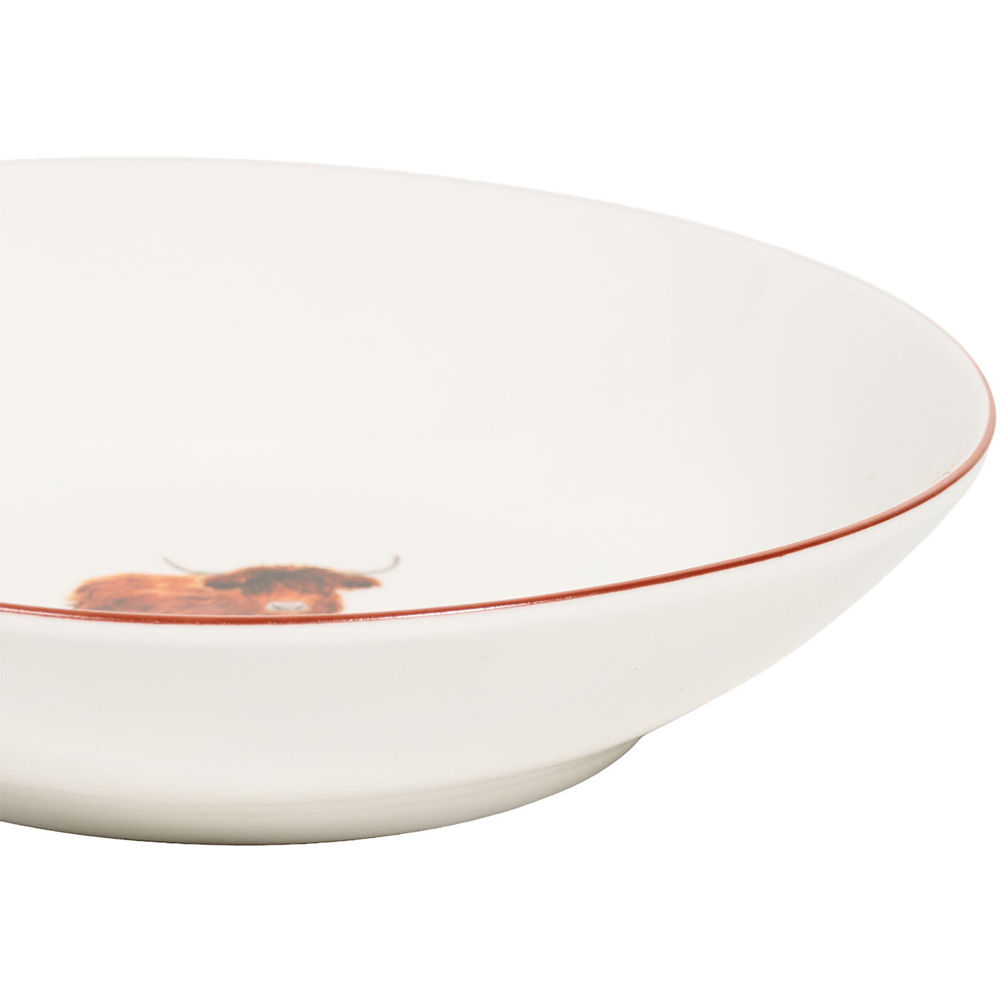 Pack of 4 Highland Cow Pasta Bowls White Image 7