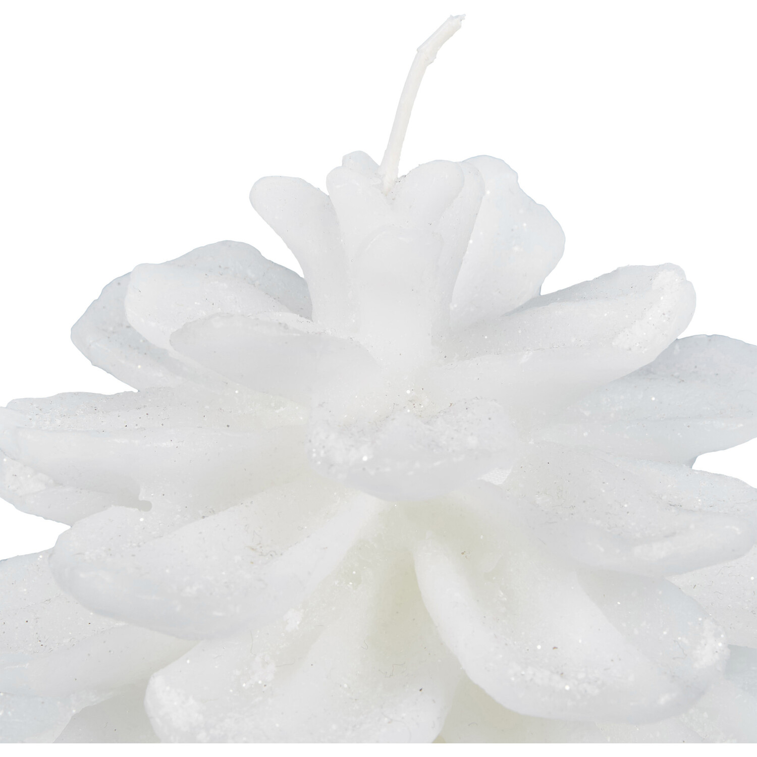 Neutral Pinecone Candle Image 7