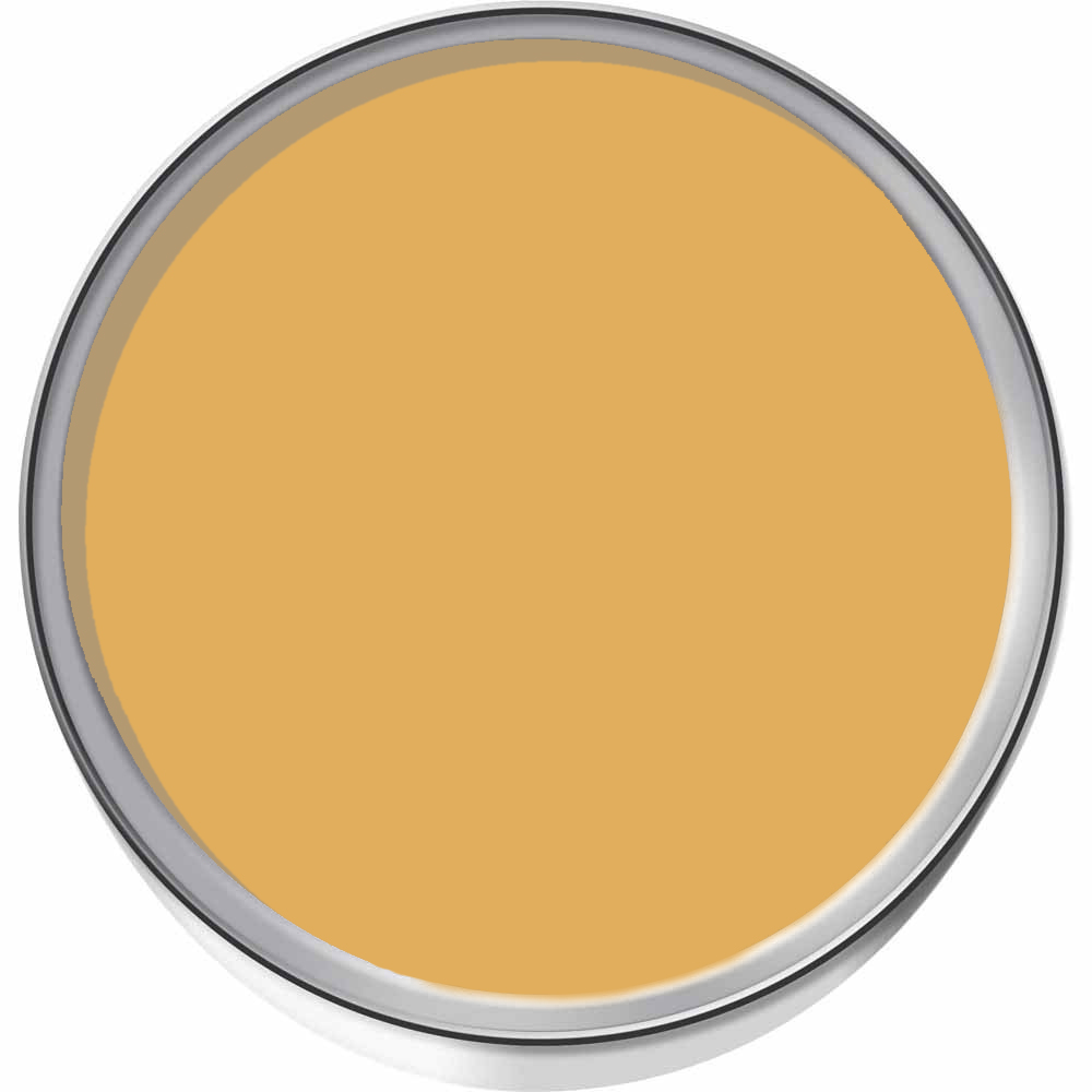 Craig & Rose 1829 Vintage Walls Wood and Metal Jarosite Gloss Mixed Paint 2.5L Image 3