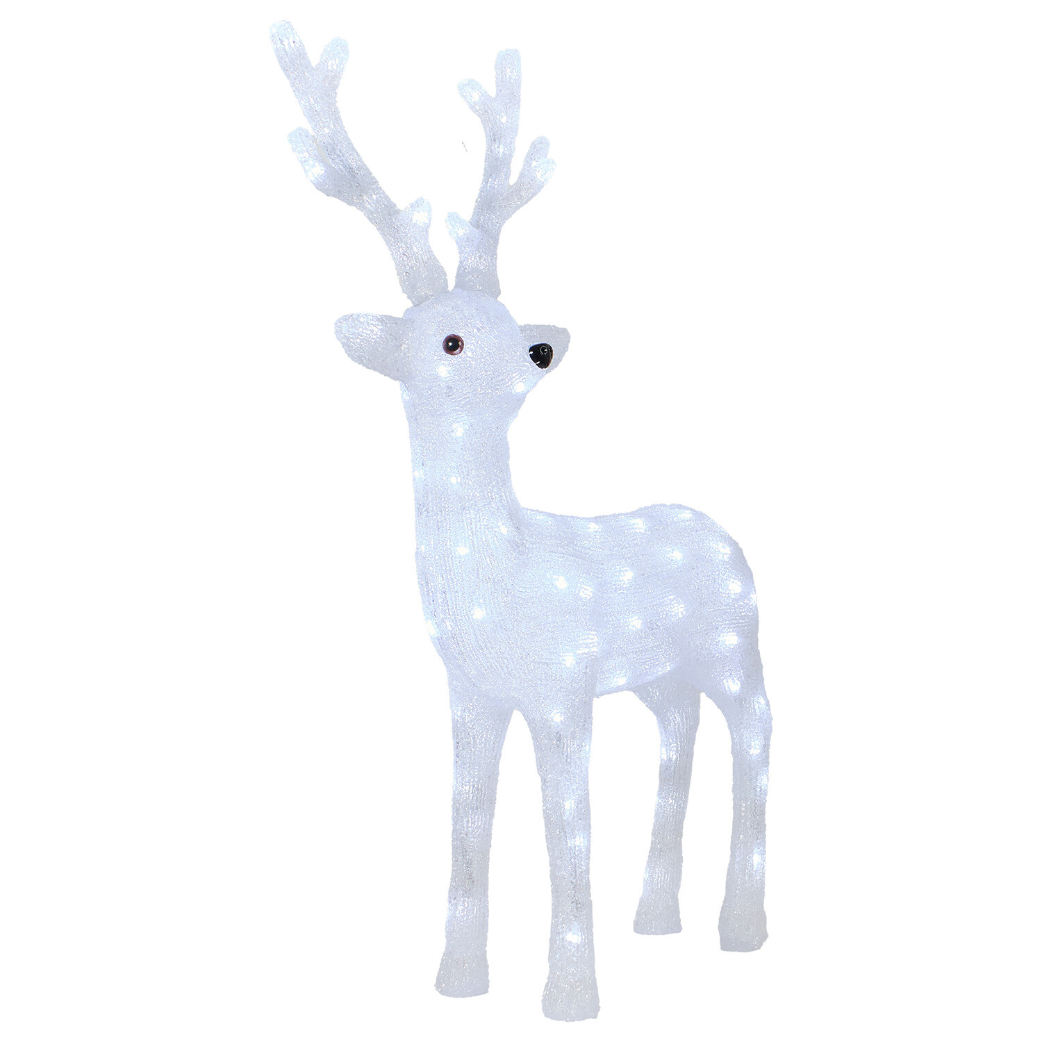 Acrylic Stag Image 4