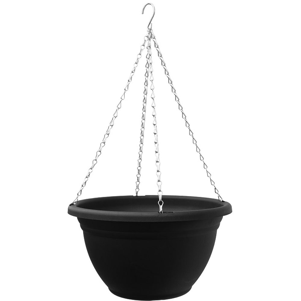 Thompson and Morgan Tutti Frutti Preplanted Hanging Basket 35cm 2 Pack Image 3