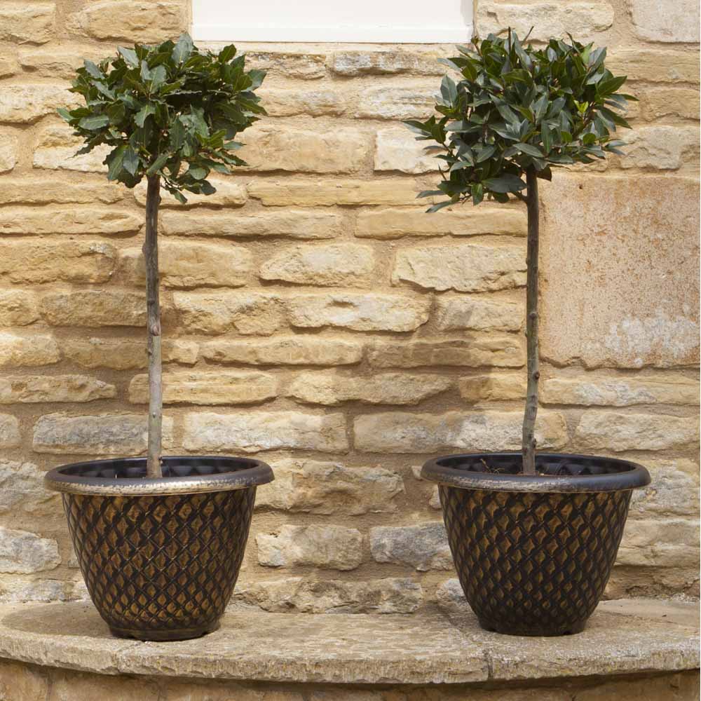 YouGarden Gold Pinecone Plastic Planters 33cm 2 Pack Image 4
