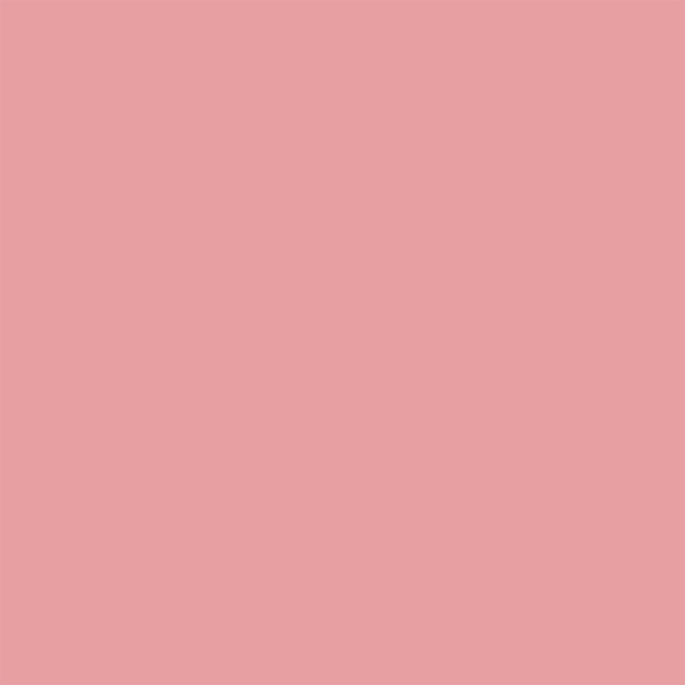 Joules Multi Surface Flower Market Matt Emulsion Paint 2.5L Image 5