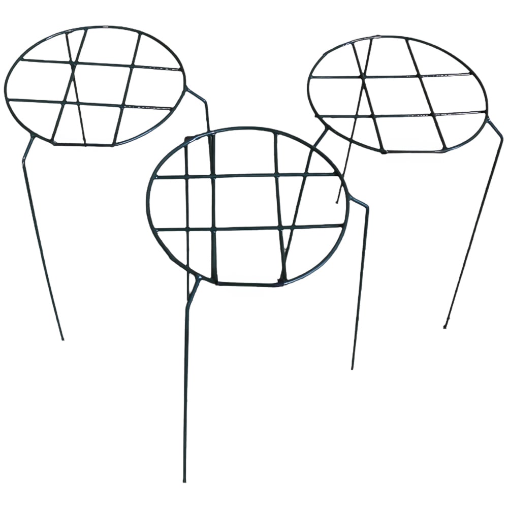 Samuel Alexander Tom Chambers Urban Dark Green Metal Herbaceous Garden Plant Support 3 Pack Image 1