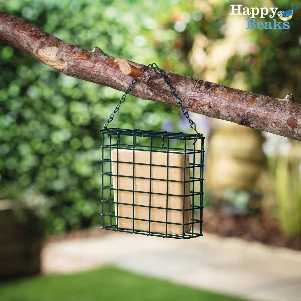 Happy Beaks Insect and Mealworm Suet Block Bird Food 3 x 2 Pack Image 2