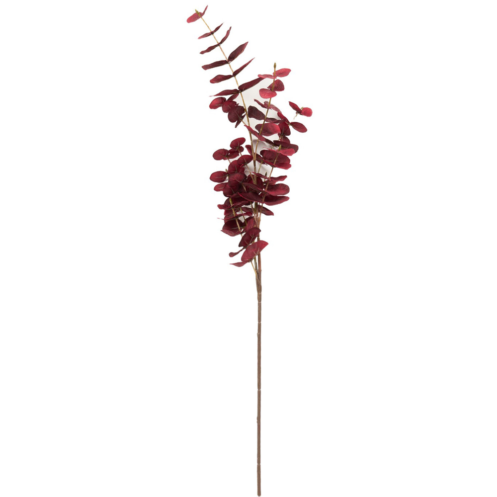 Eucalyptus Spray Deep Red Image 3