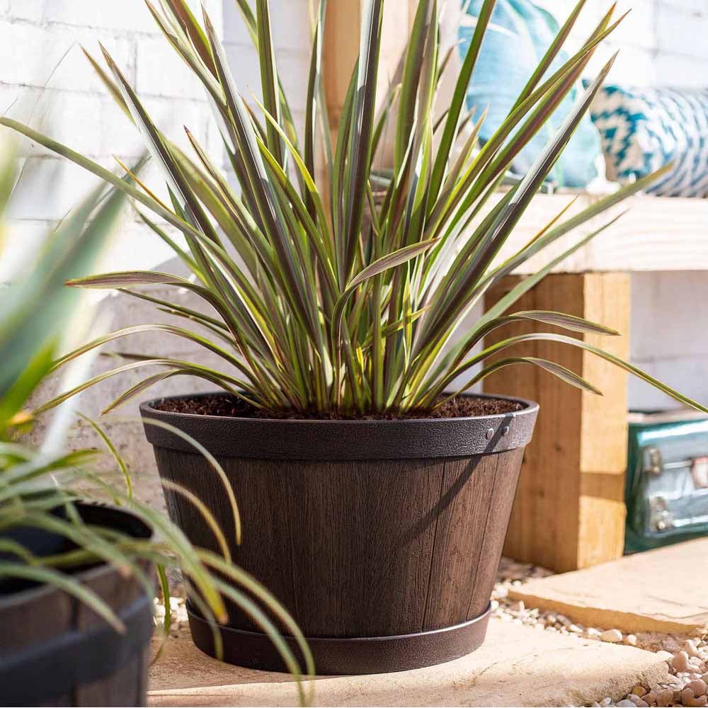 Plant Avenue Oban Dark Oak Whiskey Barrel Planter 33cm Image 5